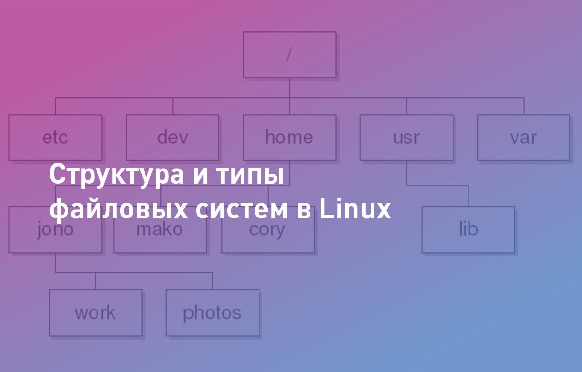 Структура и типы файловых систем в Linux | Cloud4Y