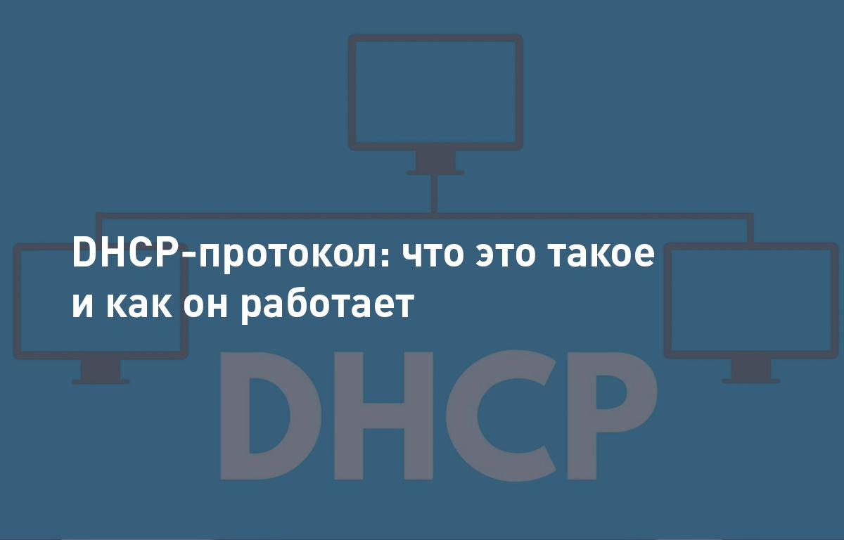 Что такое и как работает DHCP-протокол | Cloud4Y